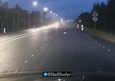 Near Yaroslavl, they ran into a moose