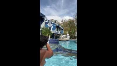 Now that I think about it, it was actually a lit live. Way too many gems here are a few more.