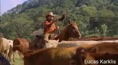 SALVE SALVE BOLOLOLOLOLOLOLOLOLOLOLOLOLO