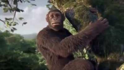 When ‘Number one’ starts playing