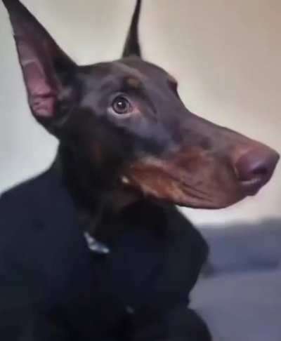 Distinguished gentleman