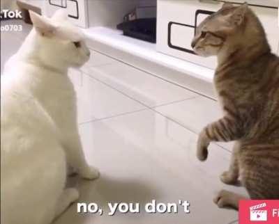 [meme] Subaru and Emilia in late arc 4