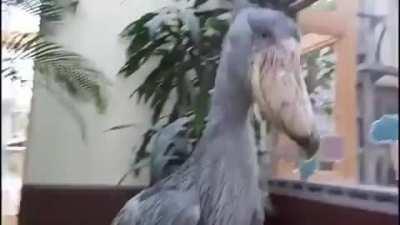 I hope you can sleep tonight