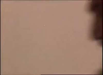 Osama Bin Laden vibing to Poker Face.