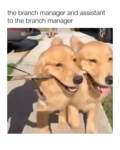 They are sooo adorable omfg