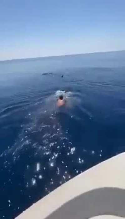 Don’t try to ride wild animals. It’s not cool.