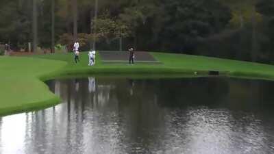 Straight into the water?