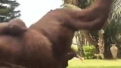 Посмотрите как работают задействованые группы мышц