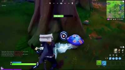 Sentient mushroom that gives you shield if you feed it wood. It also flosses too