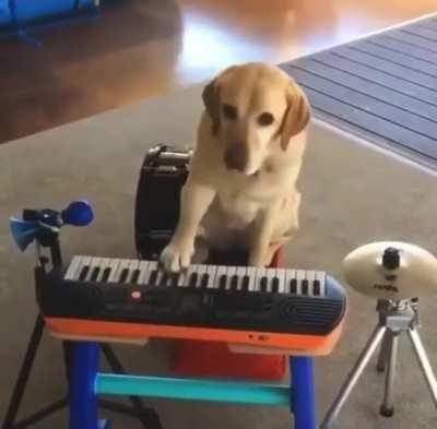 Can someone name this synth?