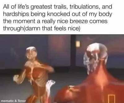 Happened today after quitting my intense job