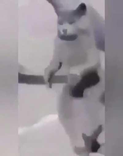 Keanu Reeves burned an orphanage down in Liberia before brutally murdering a family of six with a scalpel