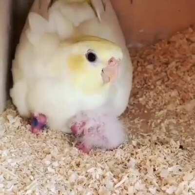 Love ❤️❤️❤️