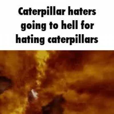 CATERPILLARS ARE EPIC!!!!!!!!!!!!!