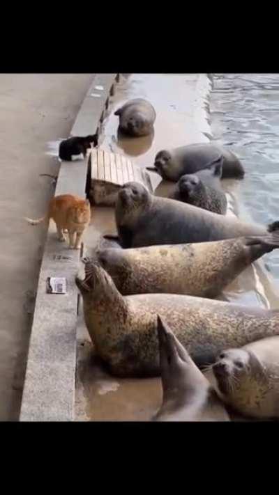 Получите, распишитесь.