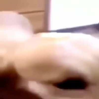 Westerners after they join this glorious subreddit 😎😎