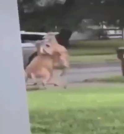 One day you’ll soon pay for your actions