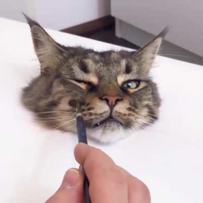 Sick fuck toys with decapitated head of poor cat