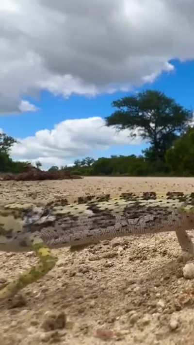 Merry Christmas to my favorite people & love you all 🫂