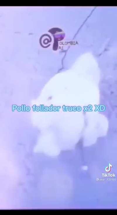 Procedo a decir posho follador xdxd