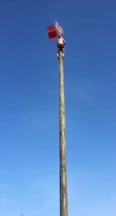 Tim’s getting hard