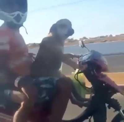 Jesus take the wheel