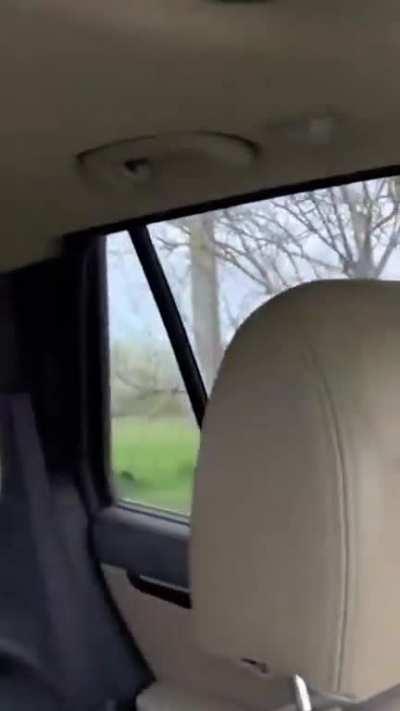 soldier rescues hamster from an abandoned house