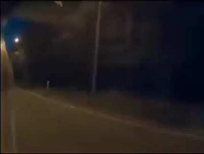 Tesla autopilot avoiding a pig at night