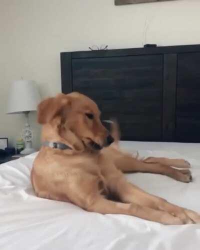 I said EGYPTIAN. COTTON. SHEETS. BRENDA!! What are we, Barbarians?