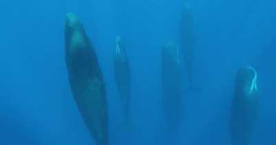 Ssshhh, they're sleeping!