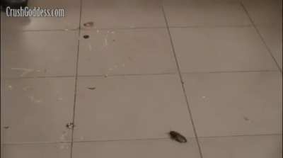 Este va de regalo 😉