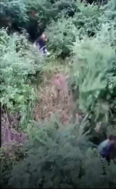 Never seen a more adequate video to post on here, I still don’t know what’s going on