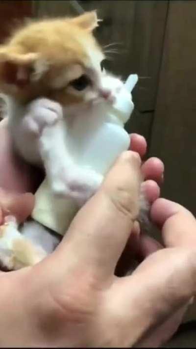 Dangerously starving