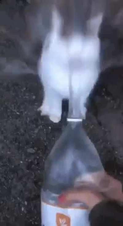 when your cat thirsty