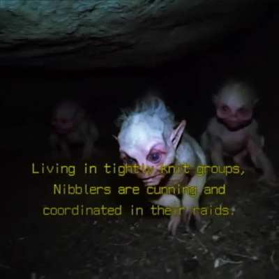 The Nibblers Documentation