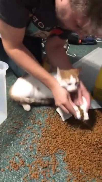 You did it. You're HELPING.😻