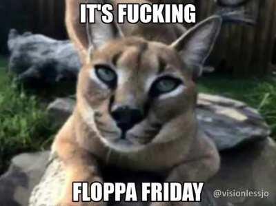 It is once again floppa Friday