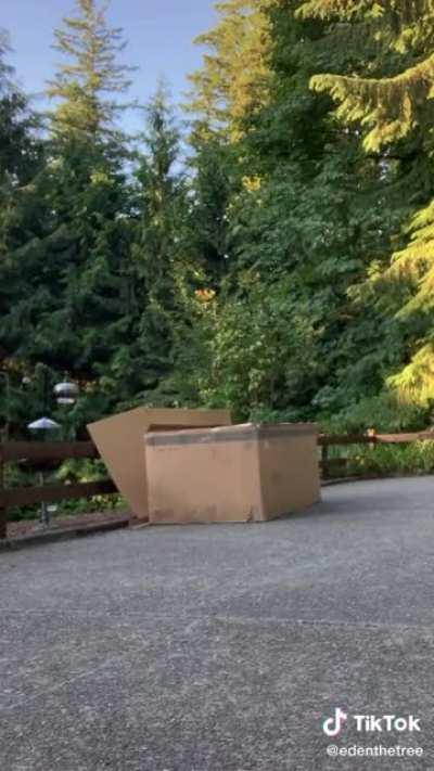 Furniture boxes just hit different