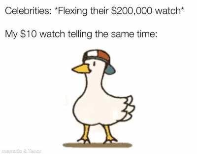 Celebrities are dumb