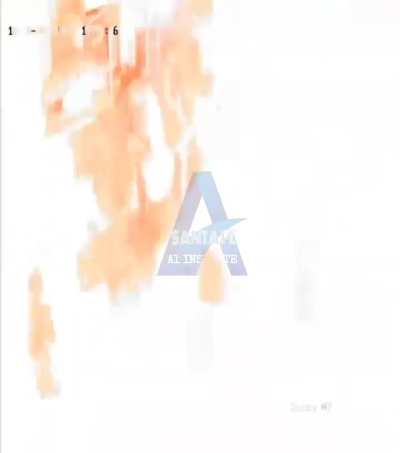 Cooking in a Argentinian restaurant