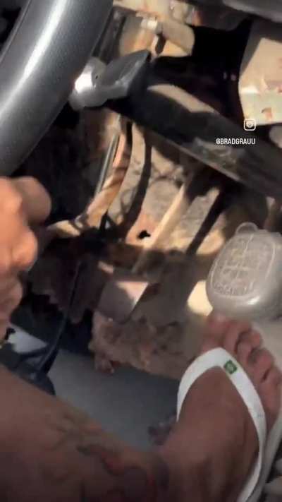 os tira implica com tudo