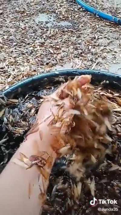 What the fuck is this