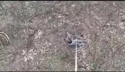 Saving private Mavic