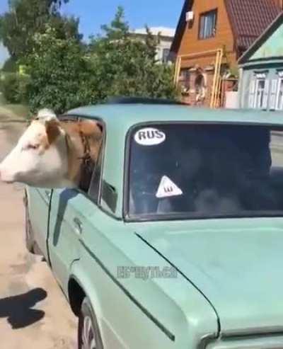 not a disaster, but It'd be catastrophic if we don't fix this - COP said