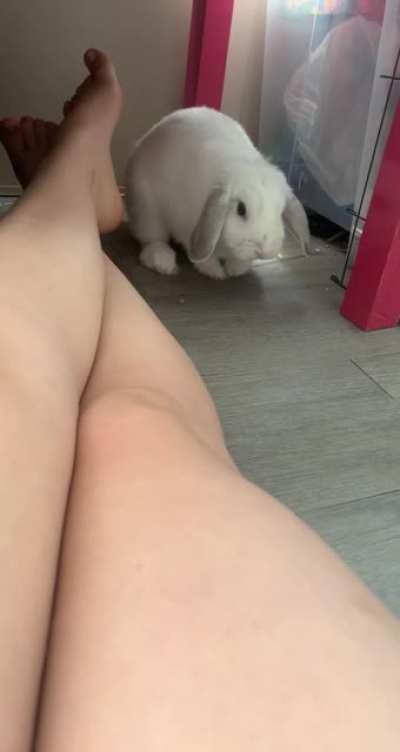 Someone had some attitude today, he thumped his feet so I thumped my hands back 🤷🏻‍♀️