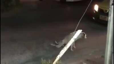 And the oscar goes to