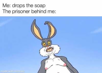 This little rabbit’s goin down your rabbit hole.