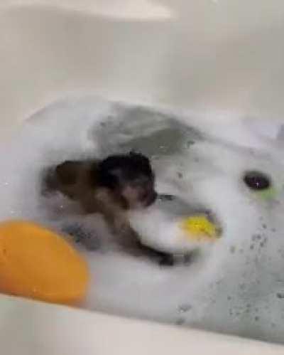 Monke in the bath