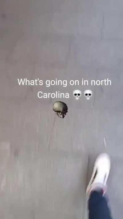 Don pollo ahh type beat