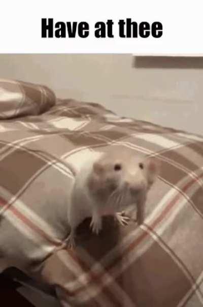 Bring back the scavenger